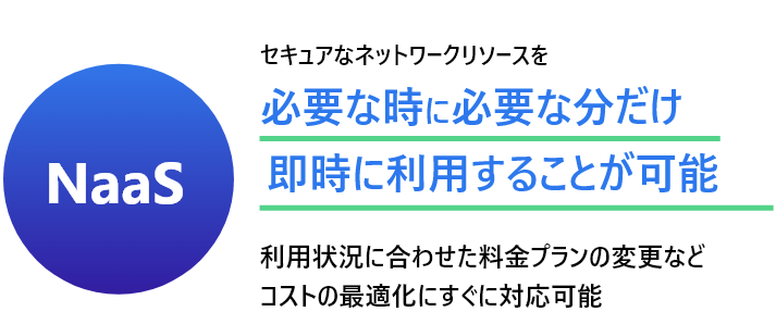 セキュアなネットワークリソースを必要な時に必要な分だけ即時に利用することが可能